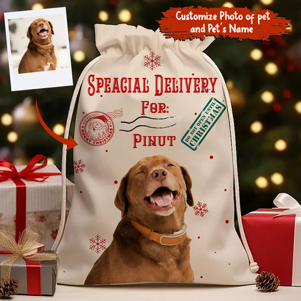Special Delivery For Pet Lover - Personalized String Bag, Gift For Family, Christmas Gift