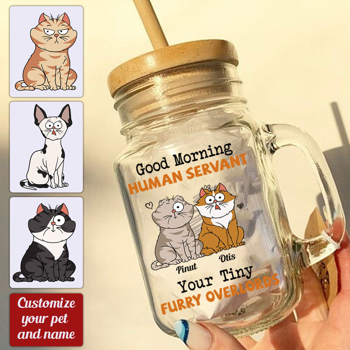 Good Morning  Human Servant, Custom Cats And Names - Personalized Mason Jar Cup With Straw