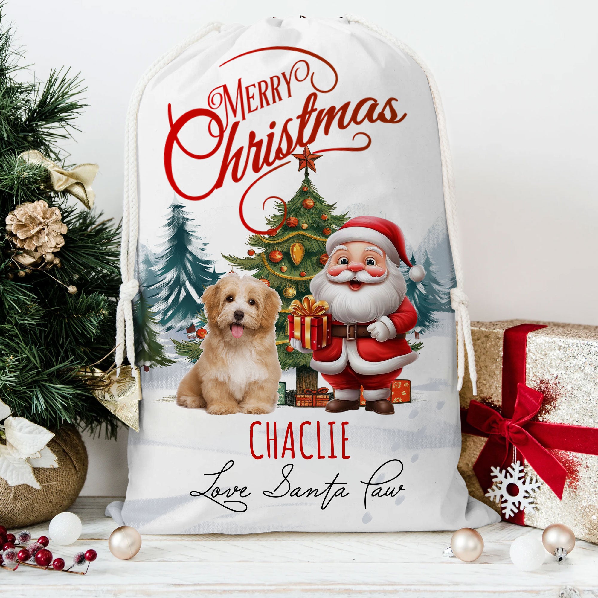 Merry Christmas Pet With Santa Claus - Personalized String Bag, Gift For Family, Christmas Gift