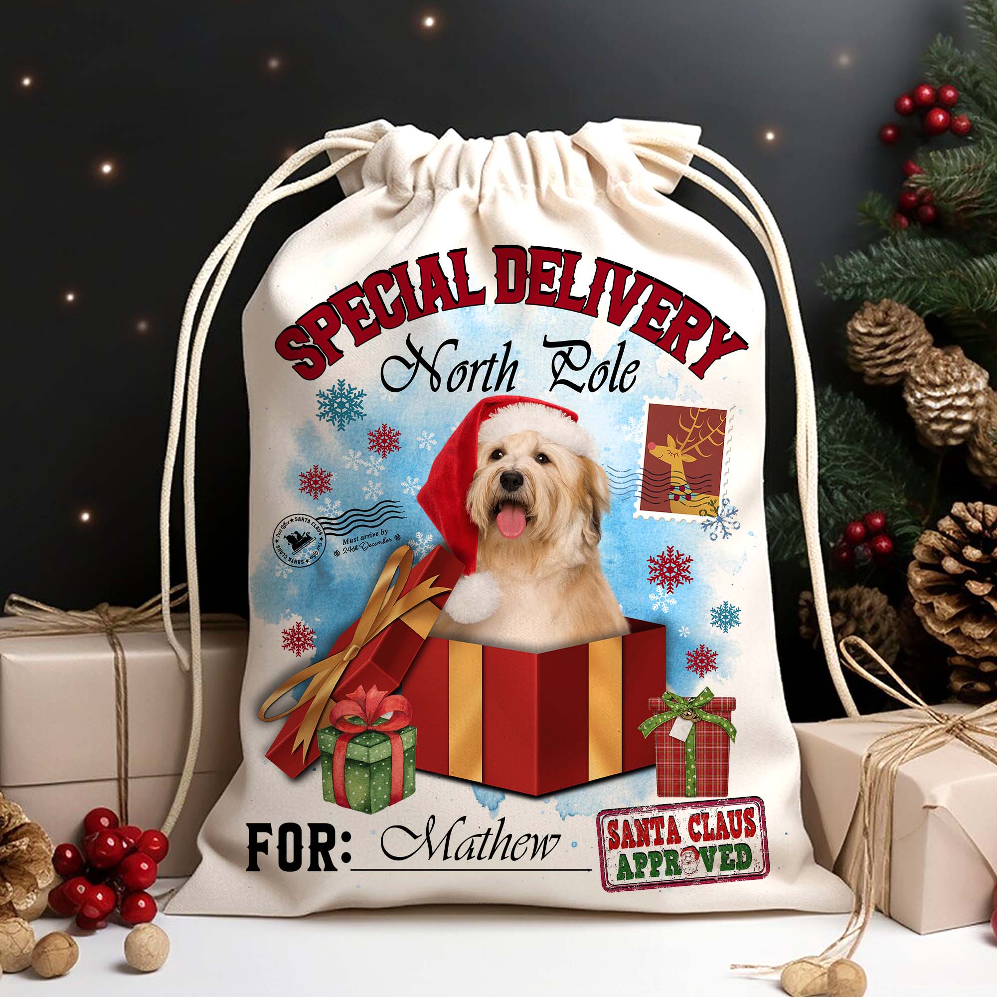 Special Delivery North Pole For Pet Christmas Gift- Custom Photo And Name, Personalized String Bag, Gift For Pet Lover, Christmas Gift