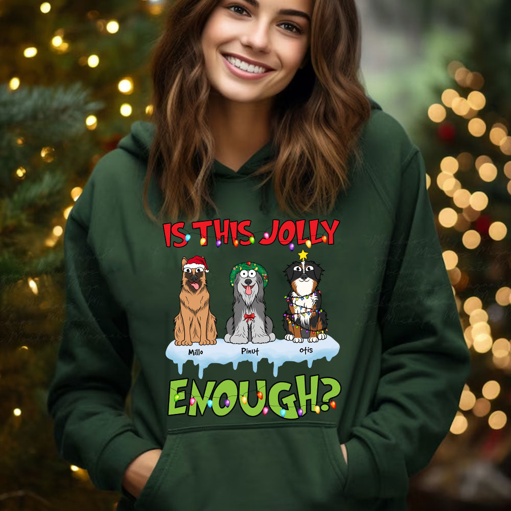 Is This Jolly Enough - Custom Pet And Names - Personalized Hoodie - Family Gift, Gift For Pet Lover