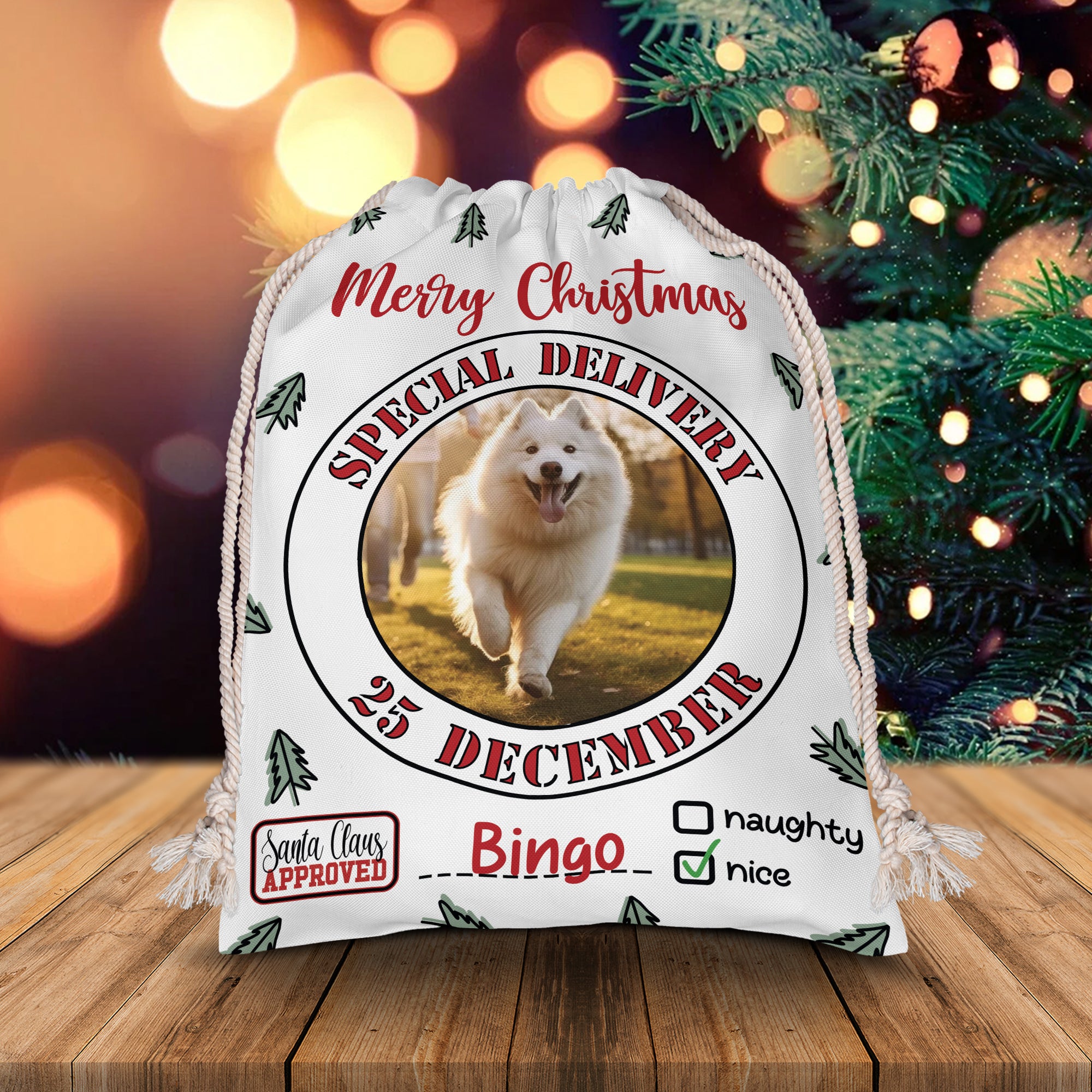 Merry Christmas Special Delivery 25 December - Custom Photo And Name, Personalized String Bag, Gift For Pet Lover, Christmas Gift