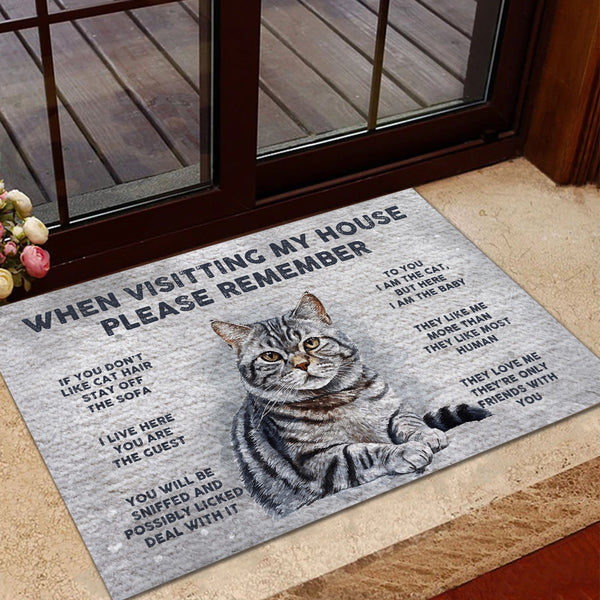 Personalized Welcome To Cat's House Doormat Fall Vibe, Cat Lover Gift