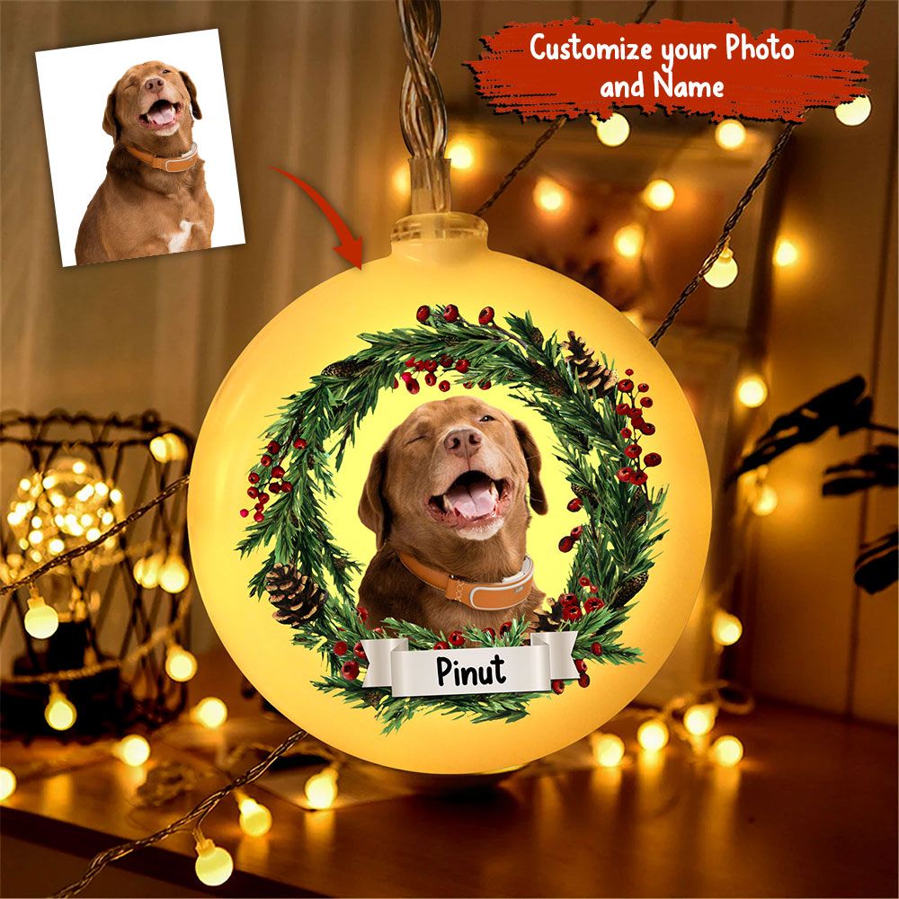 Merry Christmas - Custom Photo And Name, Personalized Round Plastic Led String Light - Gift For Christmas, Gift For Family, Gift For Pet Lover