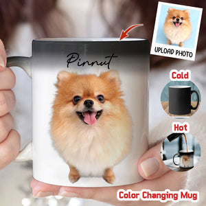 Custom Photo And Name, Gift For Pet Lover, Personalized Color Changing Mug