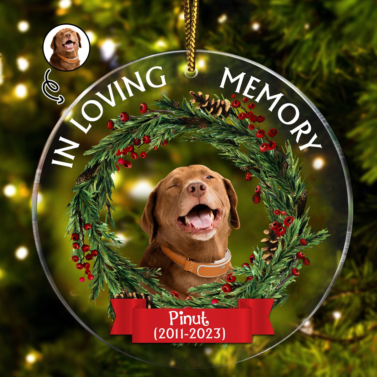 Custom Face Photo And Name, Personalized Acrylic Ornament - In Loving Memory - Pet Memorial Decoration