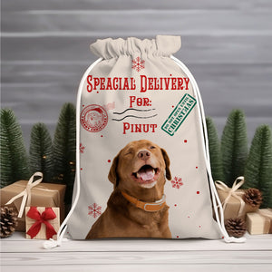 Special Delivery For Pet Lover - Personalized String Bag, Gift For Family, Christmas Gift