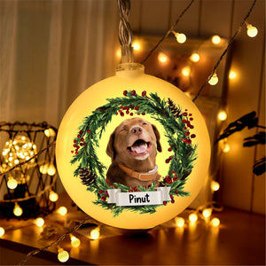 Merry Christmas - Custom Photo And Name, Personalized Round Plastic Led String Light - Gift For Christmas, Gift For Family, Gift For Pet Lover