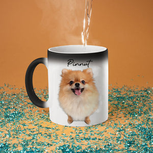 Custom Photo And Name, Gift For Pet Lover, Personalized Color Changing Mug