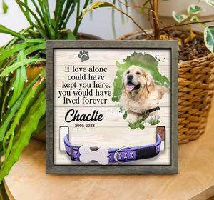 Kindly Toys Memorial Pet Collar With Photo, Customized Memorial Standing Frame, Cat & Dog Loss Gift, Pet Collar Holder, Pet Bereavement Gift