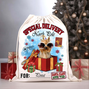 Special Delivery North Pole For Pet Christmas Gift- Custom Photo And Name, Personalized String Bag, Gift For Pet Lover, Christmas Gift