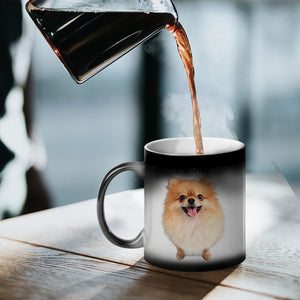 Custom Photo And Name, Gift For Pet Lover, Personalized Color Changing Mug