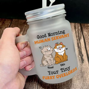 Good Morning  Human Servant, Custom Cats And Names - Personalized Mason Jar Cup With Straw