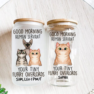 Good Moring Human  - Custom Cats And Names - Personalized Glass Bottle, Frosted Bottle, Gift For Pet Lover