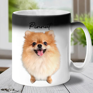 Custom Photo And Name, Gift For Pet Lover, Personalized Color Changing Mug