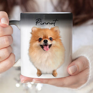 Custom Photo And Name, Gift For Pet Lover, Personalized Color Changing Mug