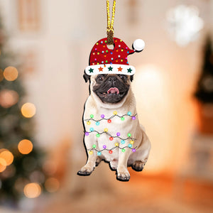 Pet With Hat  - Custom Photo, Personalized Acrylic Ornament - Gift For Christmas, Pet Lover Gift