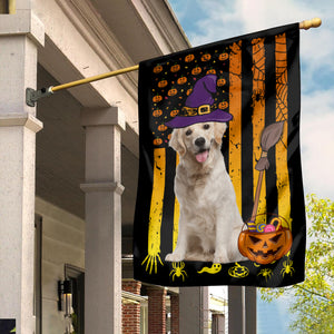 Pumpkin And Pet, Happy Halloween - Personalized Photo Flag - Gift For Pet Lover, Halloween Gift