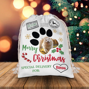 Merry Christmas Special Delivery For Pet Lovers - Custom Photo, Personalized String Bag, Gift For Pet Lover, Christmas Gift