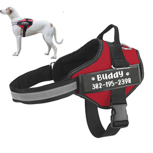 Custom No Pull Dog Harness with Name and Phone Number, Heavy Duty Personalized Pet Vest