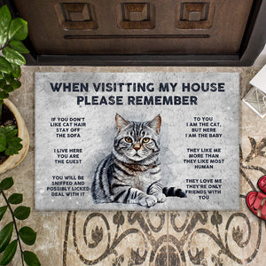 Personalized Welcome To Cat's House Doormat Fall Vibe, Cat Lover Gift